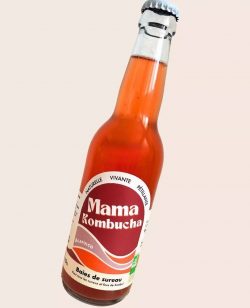 Kombucha baies de sureau Acapulco 35cl